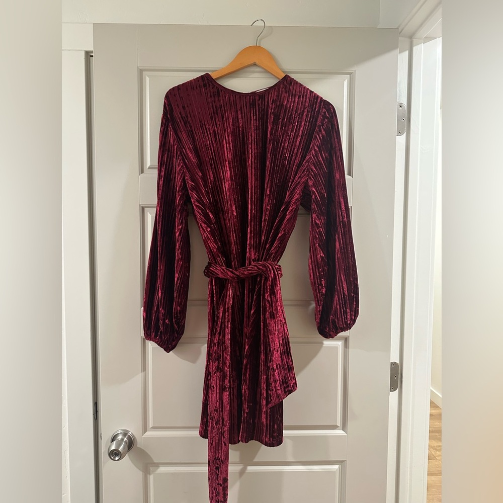 Gorgeous Baltic Born Dress